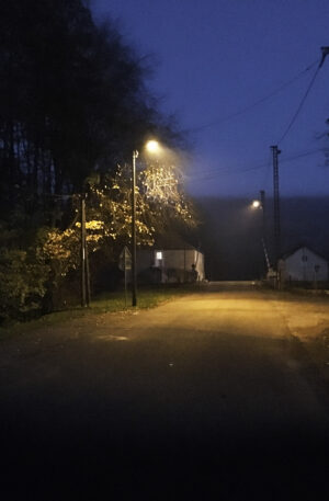 Nature Humaine, Proche de la nuit - Cédric Klapisch, 2015