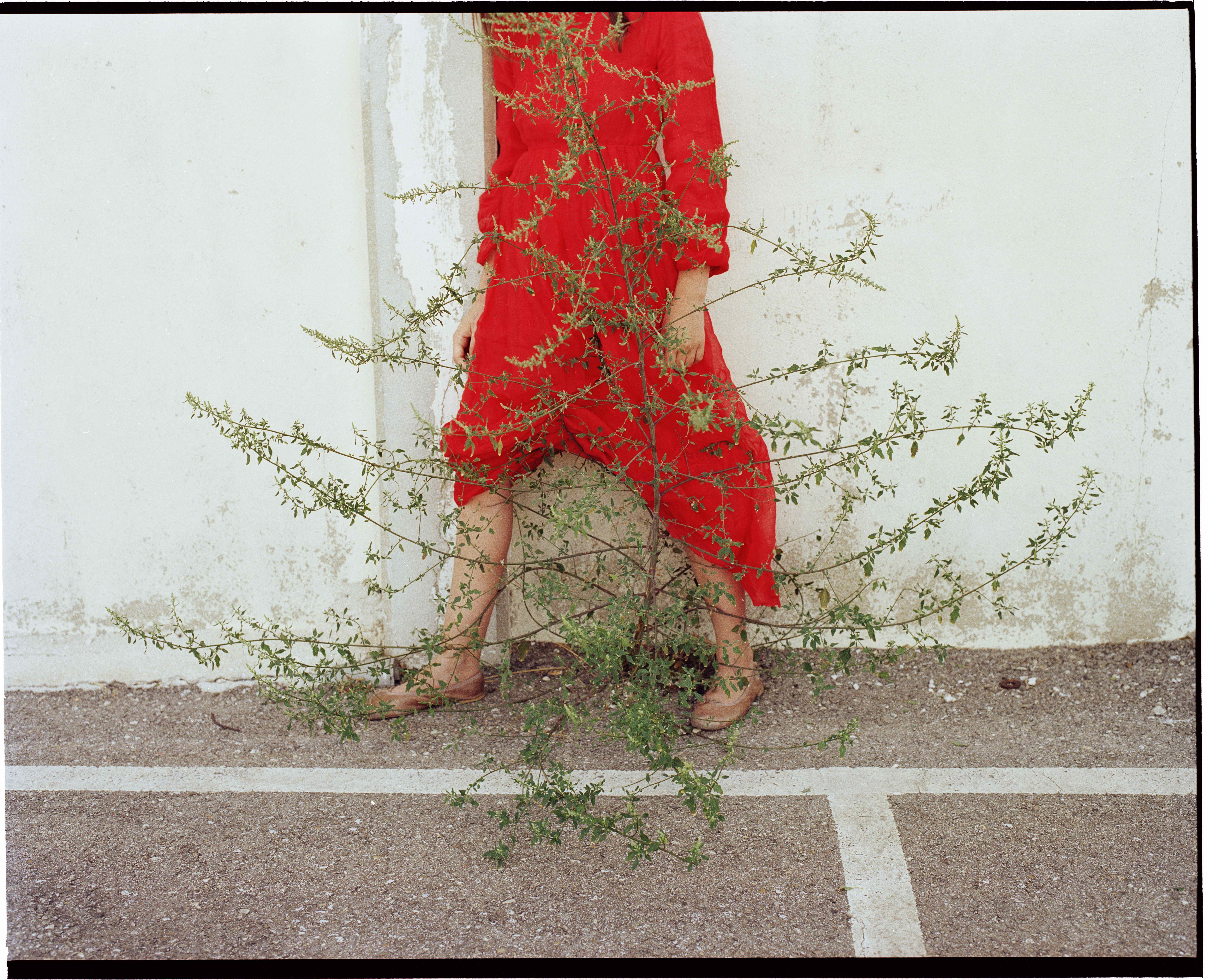 Wild Grass #4 (Mauvaises herbes) - Kate Barry, 2013